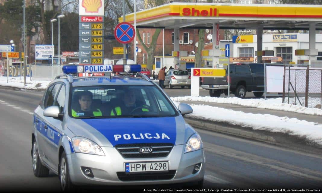 Uwaga na dzikie zwierzęta na drogach w okolicach Myśliborza