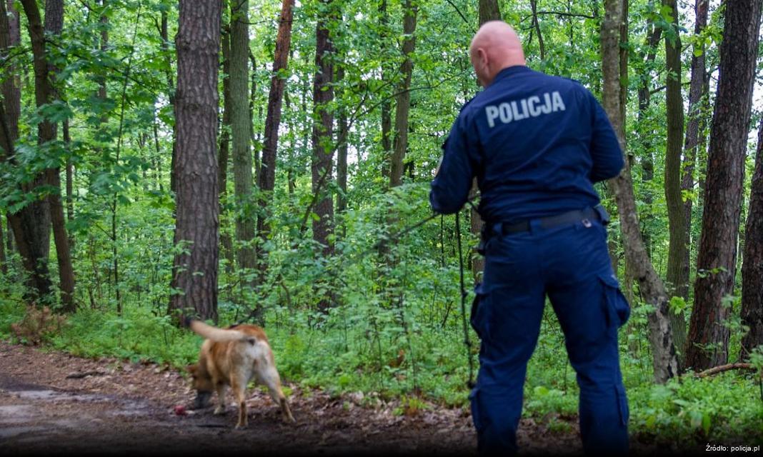 Poszukiwania zaginionego Aleksandra Łapińskiego w Barlinku