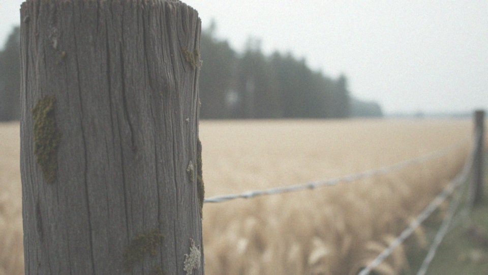Węzły chłonne z tyłu głowy – przyczyny, objawy i diagnostyka