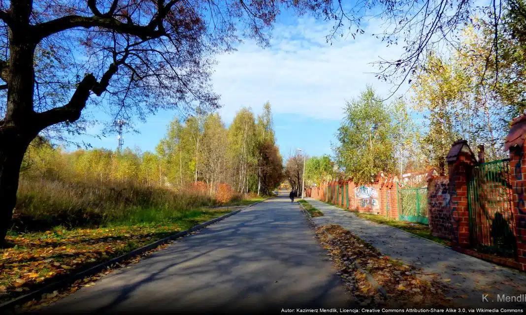 Informacja o zimowym utrzymaniu dróg i chodników w Myśliborzu